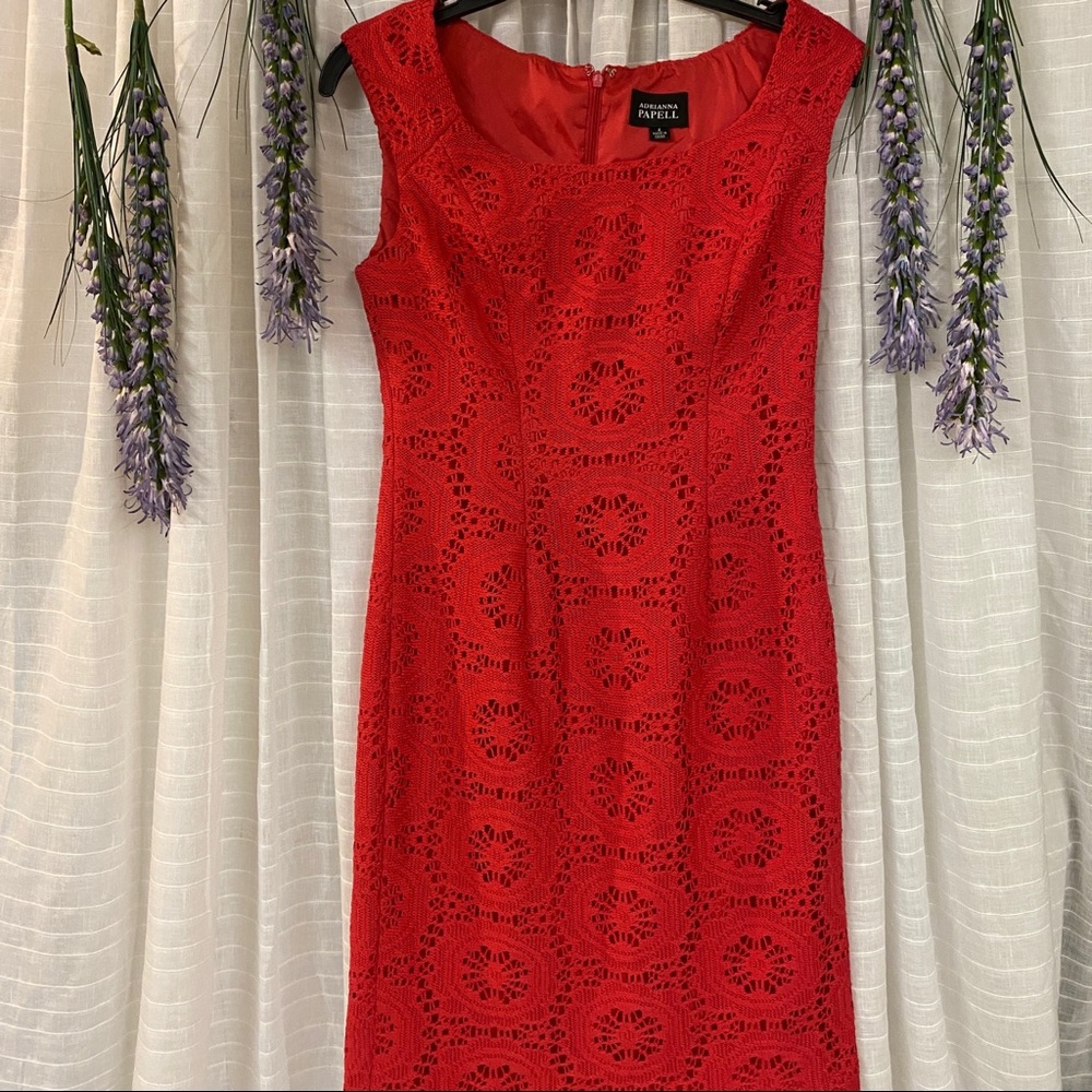 Adrianna Papell Dress- 4